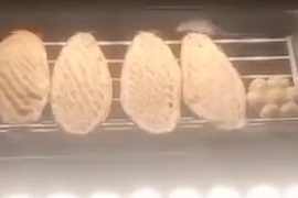 Fırında Fare Skandalı: İşletmeye 105 Bin Lira Ceza Kesildi