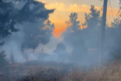 Bursa’da Ormanlık Alanda Yangın