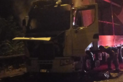 Park Halindeki Tır Alevlere Teslim Oldu