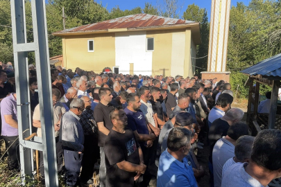 Kestiği Ağacın Altında Kalarak Canından Oldu