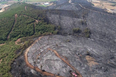 Yenişehir'de üç köyü korkutan yangının acı görüntüsü havadan kaydedildi