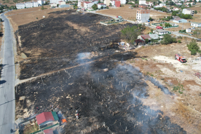Alevler evlere ulaştı, vatandaşlar hortum ve kovalarla müdahale etti