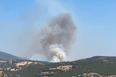 Balıkesir'de Orman Yangını