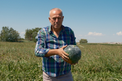 Londra'dan geldi sözleşmeli karpuz üretti milyonlarca lira zarar etti