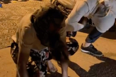 İnegöl’de Damada Düğün İşkencesi Kamerada