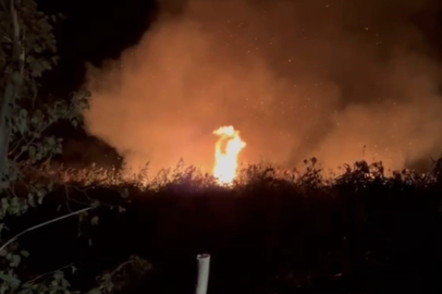 İznik'te Sazlık Alanda Yangın