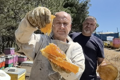 Bal Üreticisi Taleplere Yetişemiyor