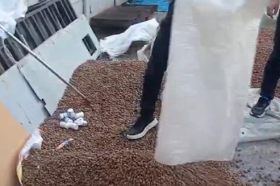 Zehir tacirlerinin 'fındık çuvalı' oyunu jandarmaya takıldı