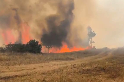 Dağ ilçesi Orhaneli Göynükbelen'de orman yangını