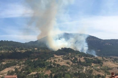 Bursa'daki Orman Yangını Söndürüldü