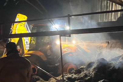 Çiftlik Alevlere Teslim Oldu