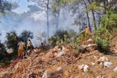 Kemer'de Orman Yangını Söndürüldü