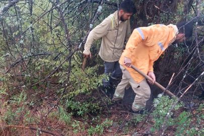 Bartın’da Yağışla Birlikte Düşen Yıldırımlar 4 Ağacı Ateşe Verdi