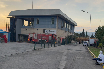 Gemlik Serbest Bölge’de Yangın