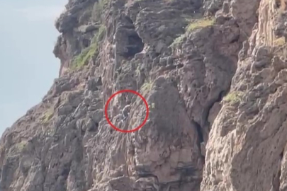 Görenler telefona sarıldı ekipler alarma geçti