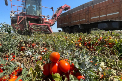 Karacabeyli çiftçi yağmurdan kaçarken doluya tutuldu