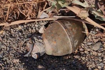 Bursa sahilinde panik! İznik Gölü kıyısında el bombası bulundu