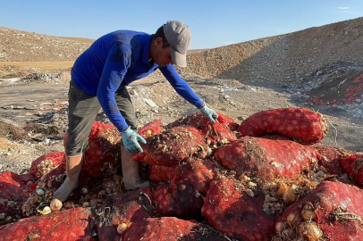 Tonlarca Soğan Boş Araziye Döküldü