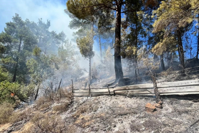 Adana'da orman yangını: Müdahale sürüyor