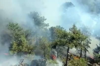 Muğla'da Orman Yangını