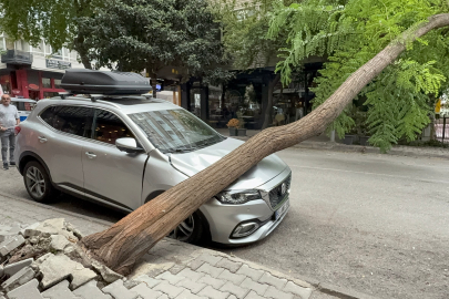 Ağaç Otomobilin Üzerine Düştü