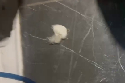 Kahvehanenin tuvaletinde yakalandı, uyuşturucu giderden çıktı