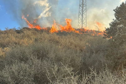 Samandağ'da Boş Arazide Yangın