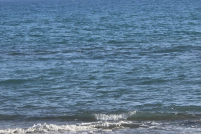 34 Yaşındaki Adam Serinlemek İsterken Canından Oldu