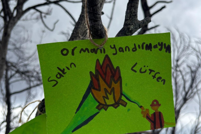 Öğrenciler alevlere teslim olan ormanlara fidan diktiler