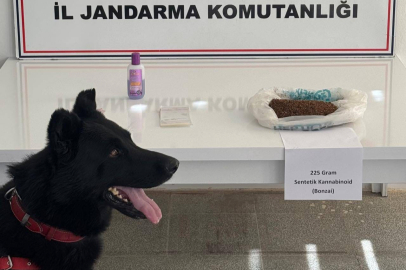 Muş'ta Uyuşturucuya Geçit Yok