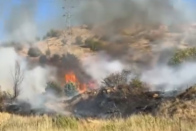 Anız Yangını Panik Yarattı