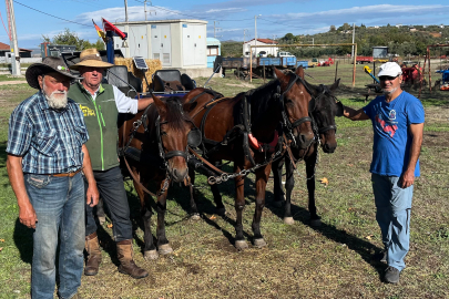 Almanya'dan çıkan atlılar, barış için Kudüs'e ilerliyor