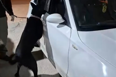 Samsun’da Narkotik Köpeği Çakır’ın Başarısıyla Uyuşturucu Madde Ele Geçirildi