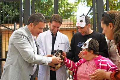 Osmangazi’de Hayvan Hakları Günü Duyarlılığı: Yeni Yaşam Alanı Müjdesi