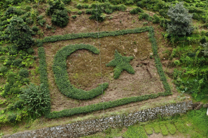 Çay Fidanlarıyla Türk Bayrağı Oluşturuldu