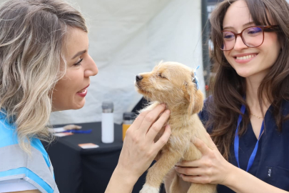 Bursa'da Sevimli Can Dostlar Yeni Evlerine Kavuştu