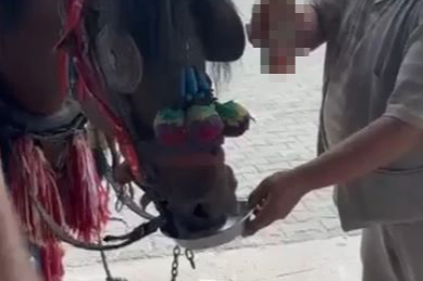 Düğünde Ata Bile Alkollü İçki İçirdiler