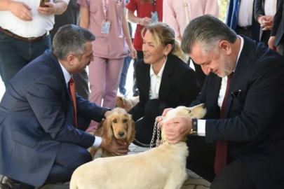 Başkan Oktay Yılmaz Duyurdu! Yıldırım’da Patili Canlar İçin Yeni Bir Başlangıç!