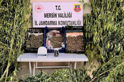 Mersin'de Uyuşturucuya Geçit Yok