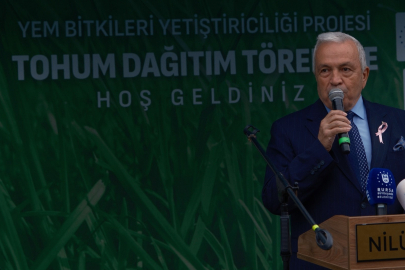 Nilüfer'de bin 500 dekarda İtalyan çimi üretilecek