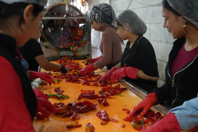 Acı ve tatlı biberler, meşakkatli bir sürecin ardından kadınların elinde salçaya dönüştürülüyor