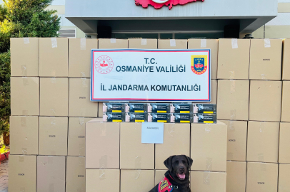 Osmaniye'de 1 milyon 250 bin sahte bandrollü boş makaron ele geçirildi