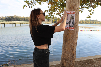 Bulana 100 bin lira! Kedisi kaybolan kadın feryat etti