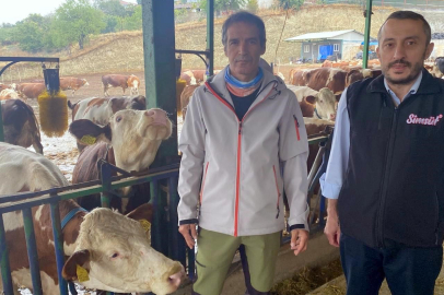 Yapay zeka kullanılan çiftlikte işletme her şeyden haberdar