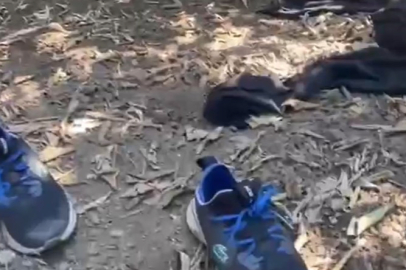 5 Yıldızlı Otele Silahlı Saldırı