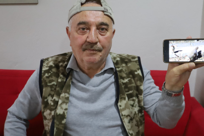 Sivas’ta elle beslenen tilkinin kedilerle olan yakınlığı dikkat çekti