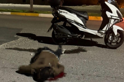 32 Yaşındaki Genç Bıçaklanarak Öldürüldü