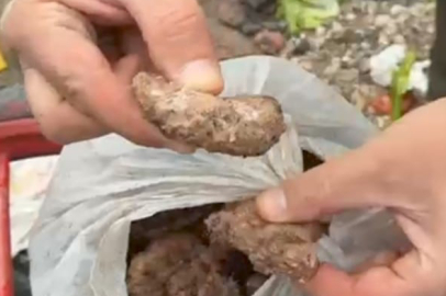 Yüzlerce taraftar zabıtanın dikkati sayesinde zehirlenmekten kurtuldu