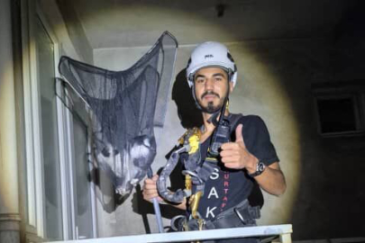 Yavru Kedinin Yardımına İtfaiye Ekipleri Yetişti