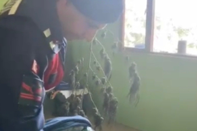 Samsun'da Uyuşturucuya Geçit Yok